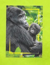 Carte incroyable animaux du