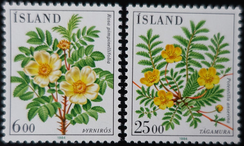 Timbres islande fleurs - timbres, d'