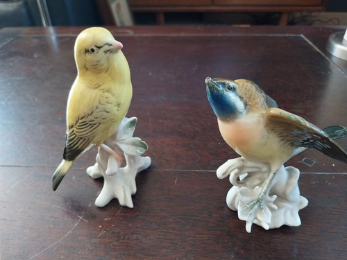Karl ens oiseaux en - ens,