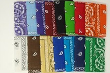Set of 10 Bandana Paisley