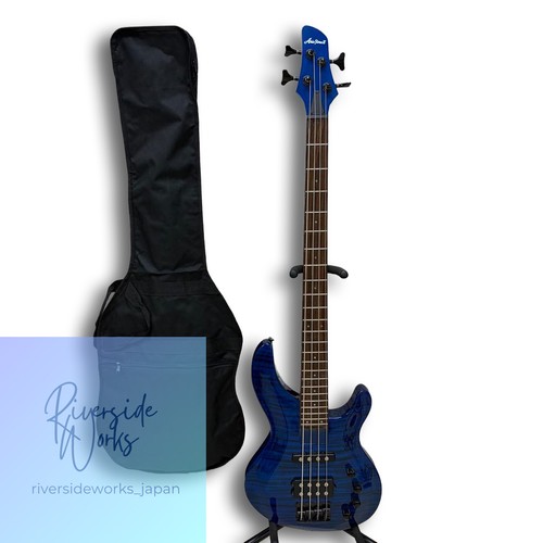Aria pro active bass - ii,