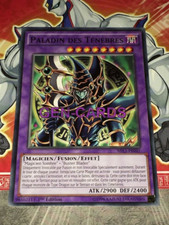 Carte Yu Gi Oh PALADIN DES TENEBRES MIL1-FR041