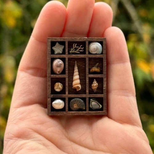 Mini étagère bibelots - étagère,