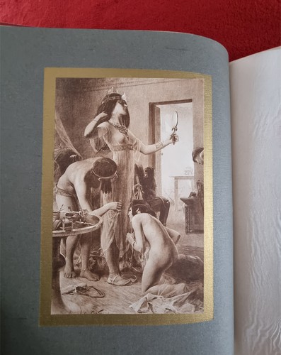 Les élégantes numéroté - élégantes,