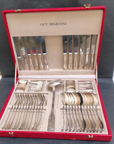 Guy degrenne ménagére - guy,