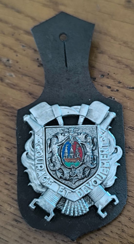 Insigne sapeurs pompiers - sapeurs,