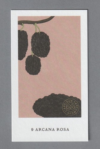 Carte publicitaire 9 - carte,