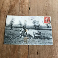 CPA attelage N59 station hydrominérale des fumades la charette a boeufs