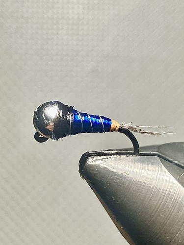 Mouche nymphes - mouche,