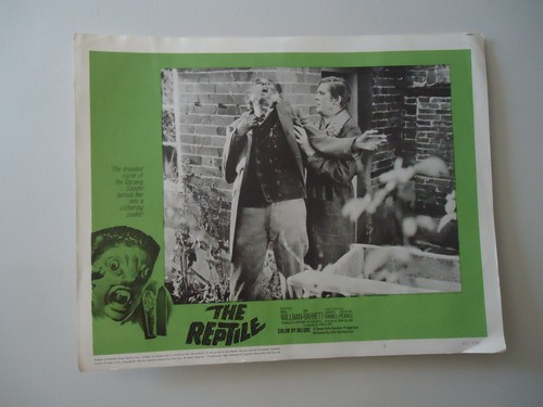 Hammer the reptile - hammer/the, lobby