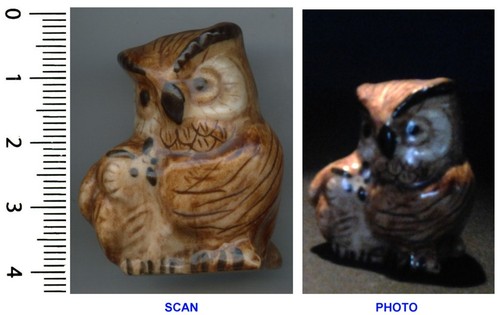 Collection chouette hibou - collection, de