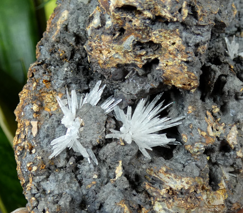 Aragonite calcite gergovie - &,