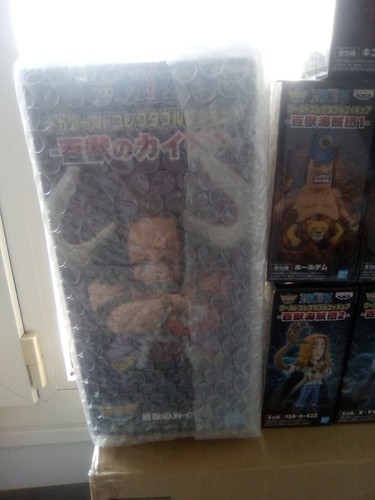 Wcfigure one piece kaidoo - one, et