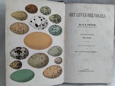 BREHM OISEAUX PAYS BAS 1866 GRAVURES HET LEVEN DER VOGELS VOOR NEDERLAND RELIURE