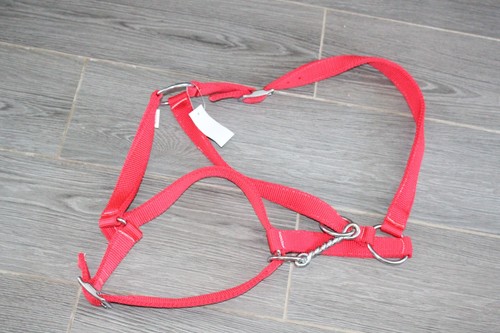 Norton licol pour cheval - :,