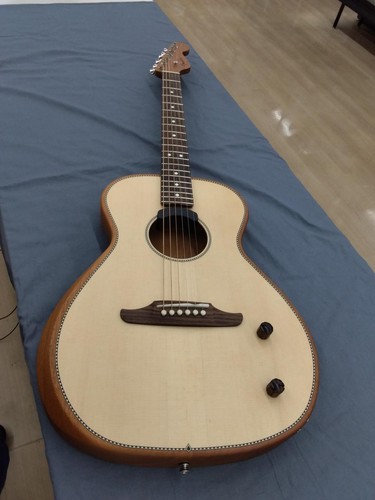 Guitare acoustique électrique