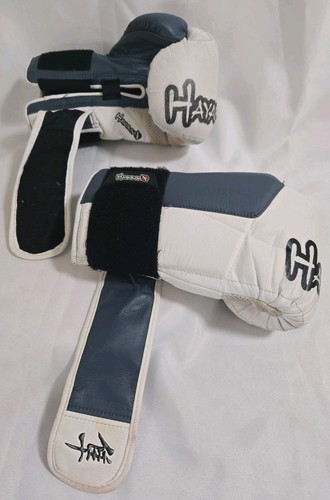 Hayabusa tokushu hybrid - oz,