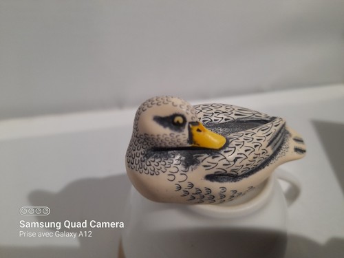 Bel oiseau que canard - bel, ce