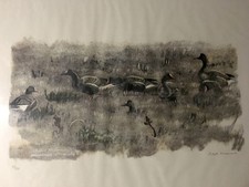 Gravure originale de Robert Hainard : "oies rieuses"