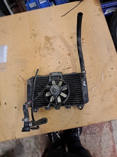 Genuine kawasaki gpx600 - genuine,