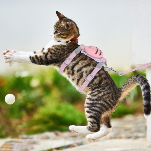 Accessoire pour animaux de - pour,