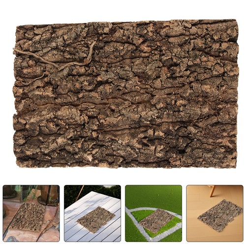 Pcs fond terrarium pour - 2,