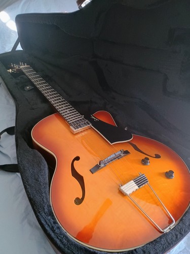 Godin jazz guitar - godin,