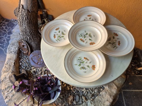 Lot assiettes creuses - lot,