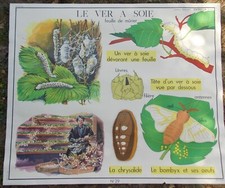 ANCIENNE AFFICHE CARTE D'ECOLE