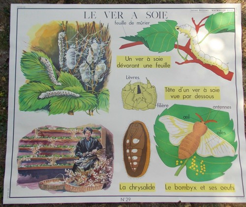 Ancienne affiche carte ecole - affiche, d'ecole