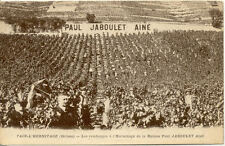 TAIN L'HERMITAGE les vendages