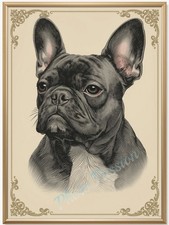 Photo A4 Bouledogue Français