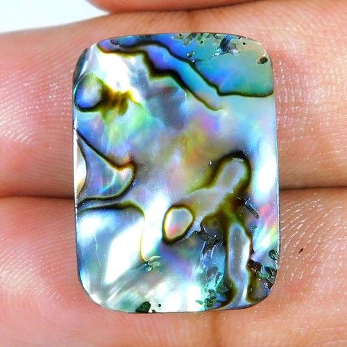 Cabochon coussin unique - , paua