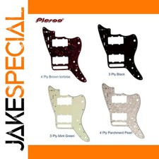 JakeSpecial – Fender