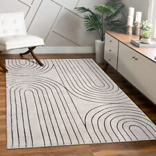 Tapis Salon Chambre Adulte Poils Ras Motif Fleuri Arc-en-ciel Motif Geometrique