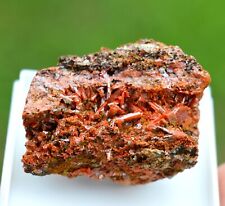 Crocoïte 65 grammes - Dundas mineral field, Zeehan District, Tasmanie Australie