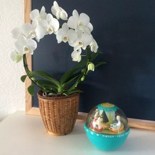 1⚜Ancien Culbuto Fisher