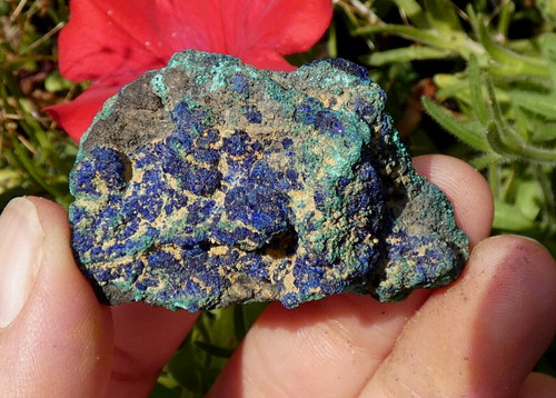 Chessylite malachite 4 5x3cm - &, 4.5x3cm