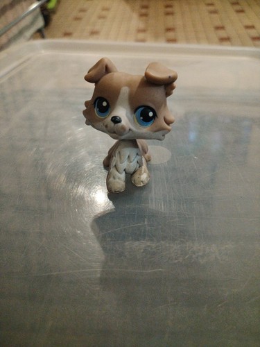Lps littlest petshop - lps,