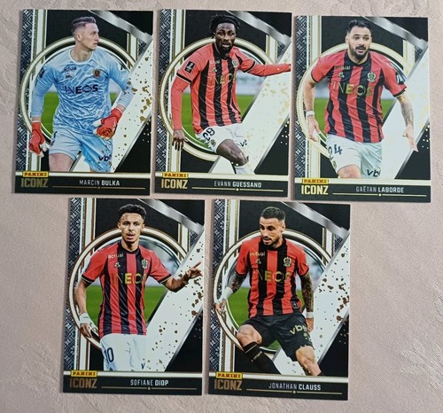 Panini iconz ligue1 - ligue1, de