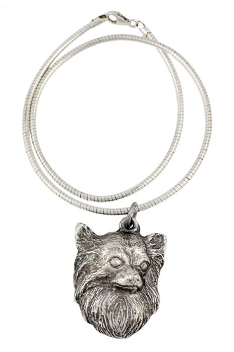 Chihuahua poil long collier - chihuahua,