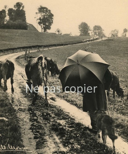 Paysan par albert monier - par,