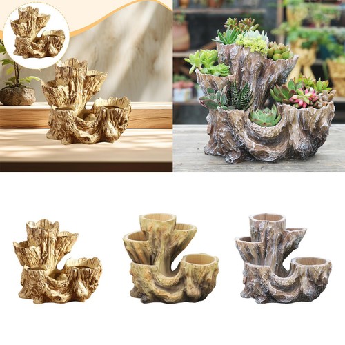 Pot fleurs souche arbre - de,