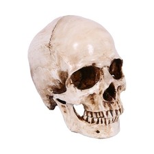  1pc terrifiant résine