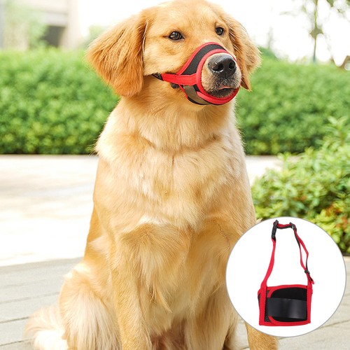 Muselière pour chien avec - chien,