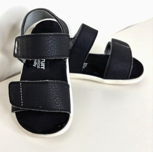 See kai run basics - see,