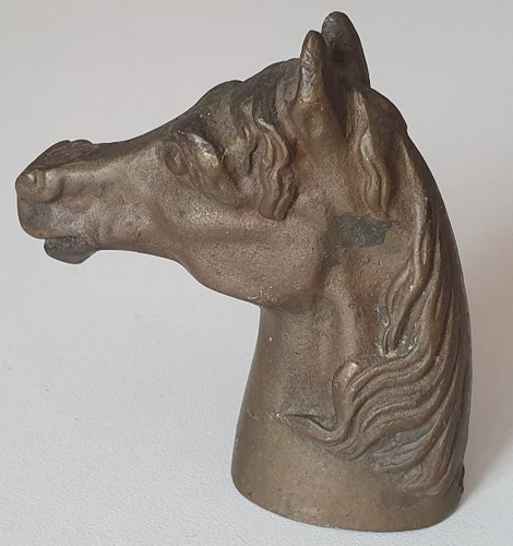 Tête cheval buste - de, en