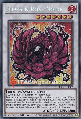 Dragon rose noire - dragon,