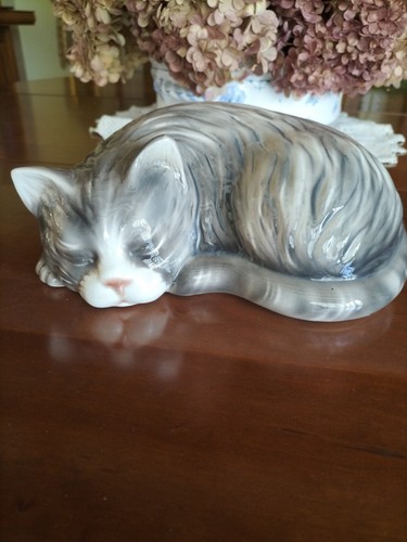 Adorable chaton petit - chat, en