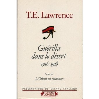 Guérilla dans désert - le,